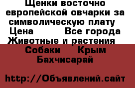 Щенки восточно европейской овчарки за символическую плату › Цена ­ 250 - Все города Животные и растения » Собаки   . Крым,Бахчисарай